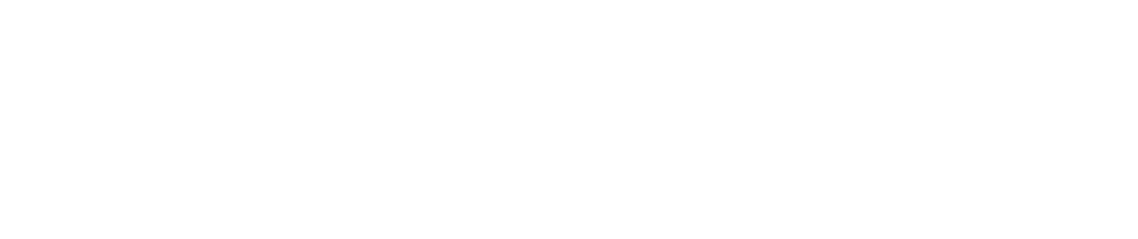 logowhite